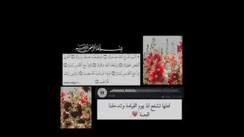 سورة الشرح سعد الغامدي