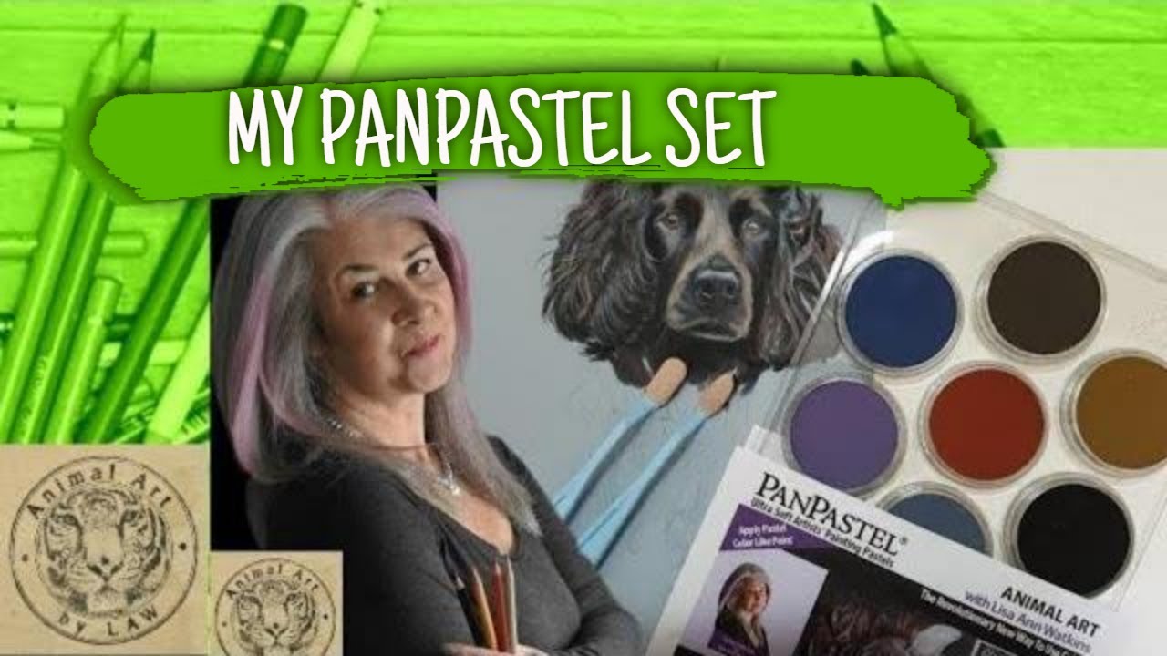 TRYING PANPASTEL FOR THE FIRST TIME! Are they Worth Buying? 