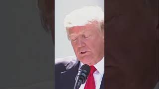 Musk Quits! Trump's Climate Exit Sparks Dramatic Showdown #gossipcommunity #celebified #shorts