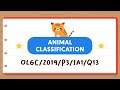 Animal Classification Quiz