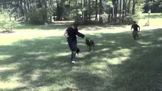 DECOY CODY TALLENT’s Earliest Work as a Professional K9 Trainer and MPC Decoy