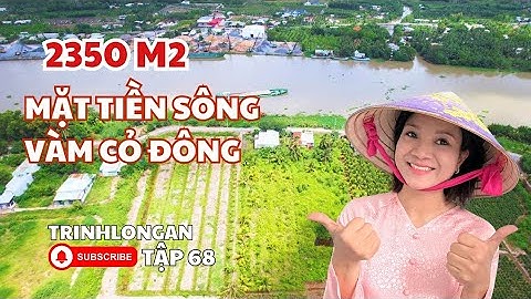 (T68) Mặt Tiền Sông Vàm Cỏ 2350 m2 | Cách TP HCM 15km | Bến Lức Long An