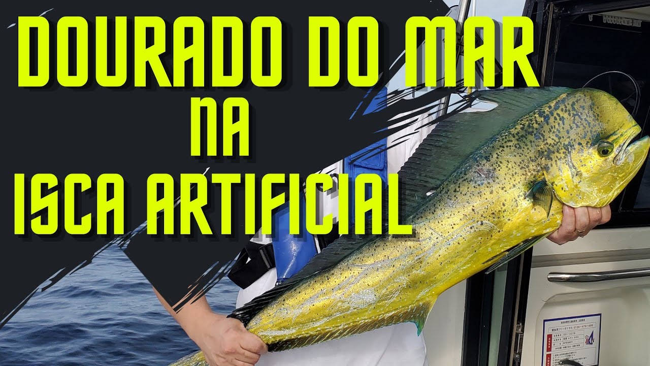 Pescaria de dourado do mar na articial.
ação em alto mar.