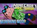Minecraft Pocket Edition | MORPHING MOD | Mod Showcase