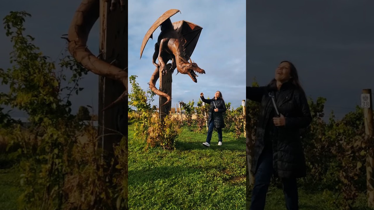 🍇✨ ¿Sabías Chubut fue declarada provincia vitivinícola por ley en 2017?