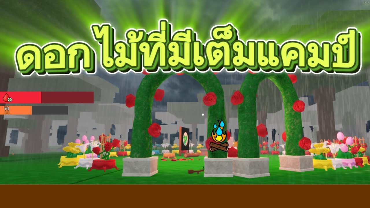 เอาดอกไม้ล้อมแคมป์(99 คืนในป่า)