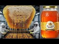 Inside Mega Honey Factory – How 50 Million Bees Produce 200 Tons of Honey Single Day (Full Process)