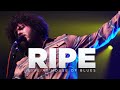 Ripe — Live at House of Blues (Full Set)