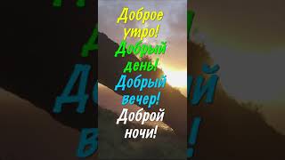 ЖЕЛАЮ ТЕБЕ ДОБРА! Красивое пожелание доброго утра, доброго вечера, доброй ночи, доброго дня! #shorts