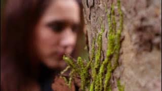 Northern Son - Love Will Find A Way