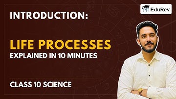 Introduction: Life Processes - Science Class 10, CBSE