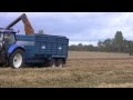 Harvest 2015 roger perry at the winter wheat with new holland machinery