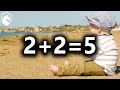 2+2=5 - How to explain the madness of the far left (from Livestream #38)