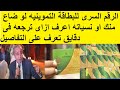 الرقم السرى للبطاقة التموينيه لو ضاع منك او نسياته اعرف ازاى ترجعه فى دقايق الرقم السرى للبطاقة التموينيه لو ضاع منك او نسياته اعرف ازاى ترجعه فى دقايق