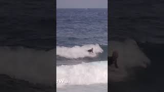 Surfing Dead Trees With Mike Stewart