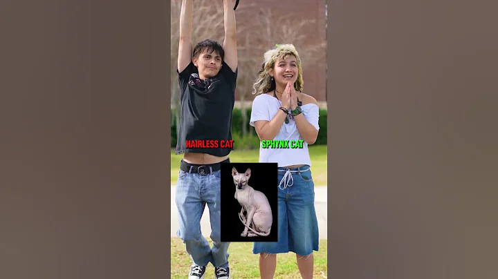 Animal Quiz. What Animal Is This?