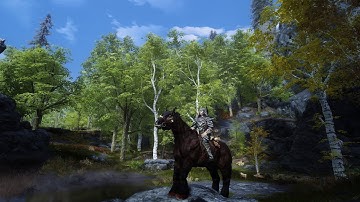 Skyrim SE - 2022 - new gameplay - Blubbo discovers rift + Mod List