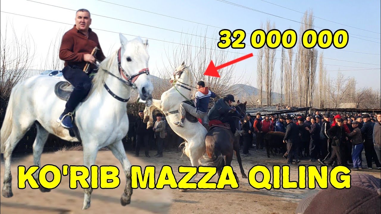 SAVDO ZO'R BO'LDI,ANGREN OT BOZORI. 13.03.2025