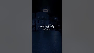 فأنزل الله سكينته عليه وأيده بجنود لم تروها من سورة التوبة عبدالرحمن مسعد#قرآنك لا تحزن إن الله معنا