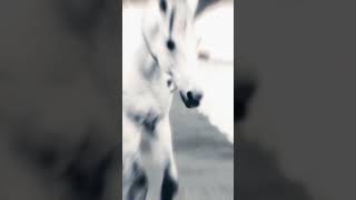 Download Lagu Talla 2XLC \u0026 Sunbeam - Arms Of Heaven (Indecent Noise Remix)⁠ MP3