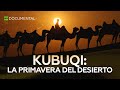 Kubuqi: la primavera del desierto - Documental de RT