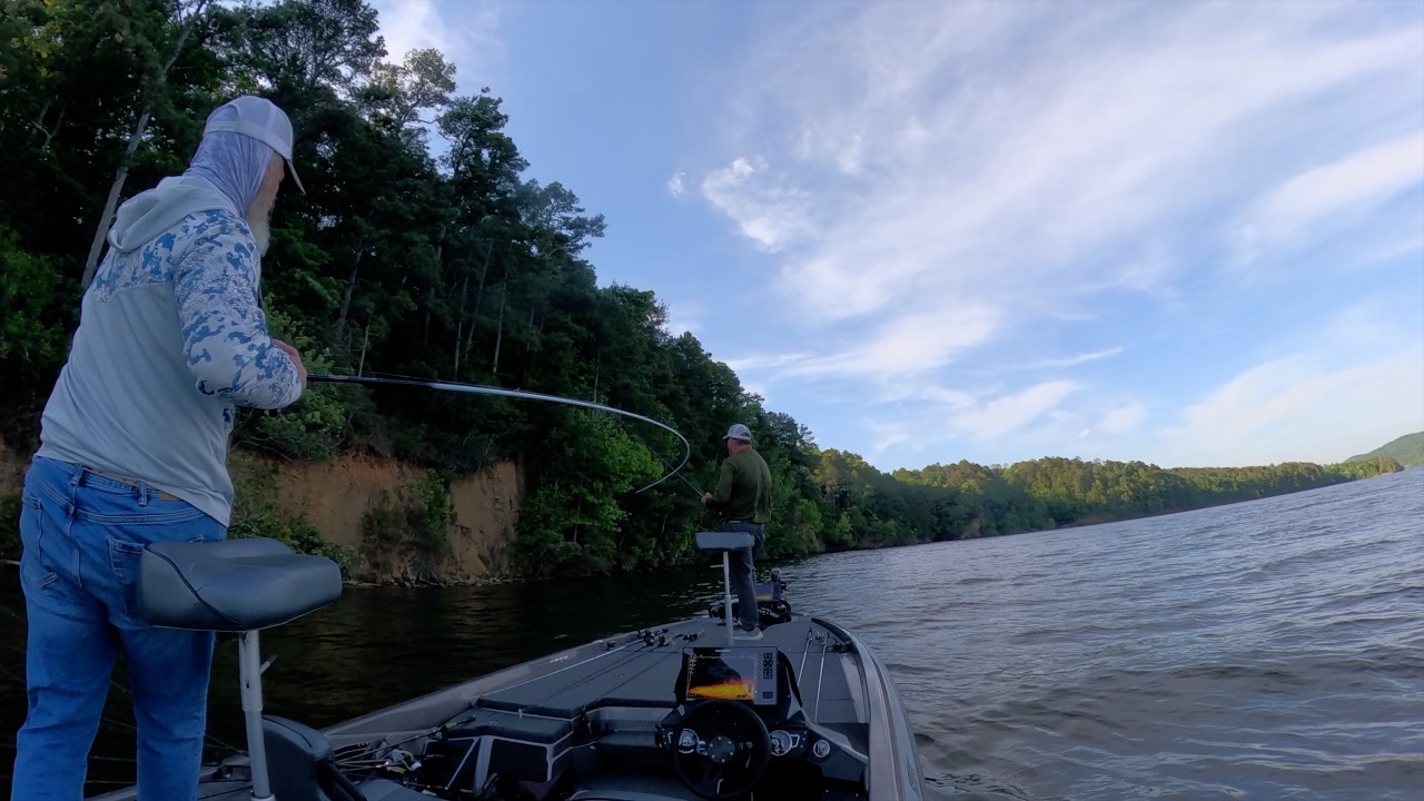 Guntersville Lake Summer Bass Fishing Part 5 #moultrie #fishing #trustfireflashlight #trustfire