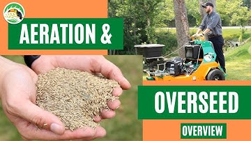 What is Aeration and Overseeding?