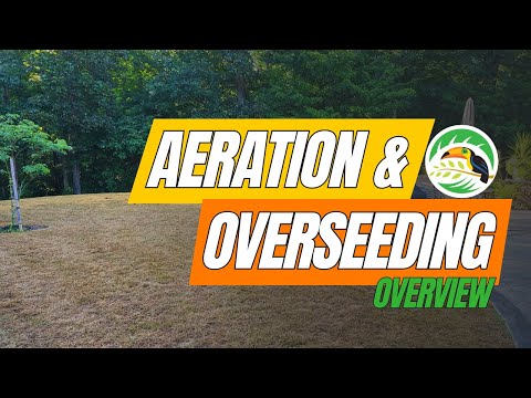 What is Aeration and Overseeding?