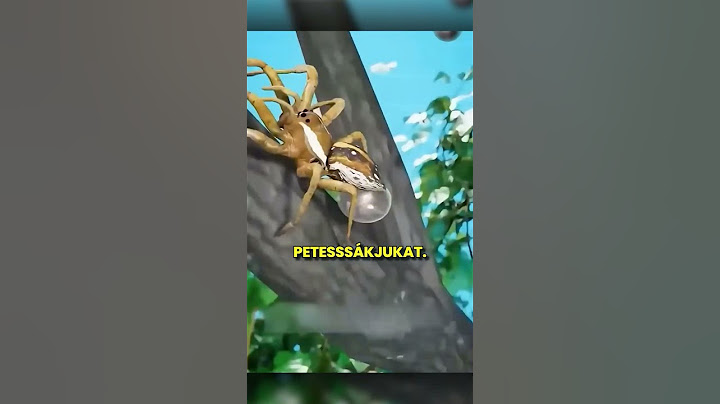Soha Ne Taposd El Ezt a Pókot! 😱