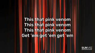 Blackpink - Pink Venom - #karaoke #ktv #kpop #karaokevideos #karaokeversions #vocals