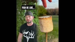 The Master Baiter 😂