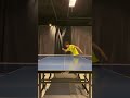 卓球サーブ基本四大回転! #Shorts