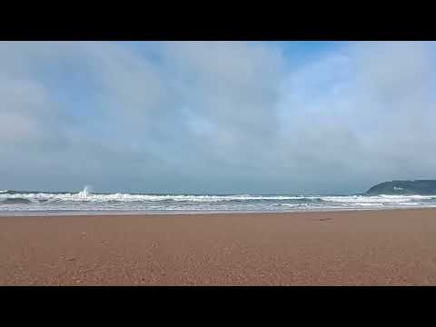 ASMR com Sons NATURAIS da naturezas para te Equilibrar | DURMA PROFUNDAMENTE com Barulhos RELAXANTES