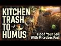 The 0$ Fruit Peel Hack That Floods Your Garden With Microbes Fast