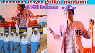 Download Lagu #shamaraan tenyaa biyaa arabaa hojetaan gollaa madamitii gubataan sirittii hubanaa godhadhaa kan bek MP3