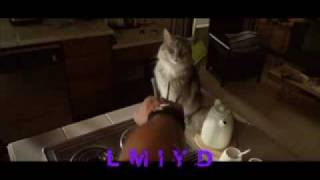 Hugh Jackman-Wolverine Has A Pokerface