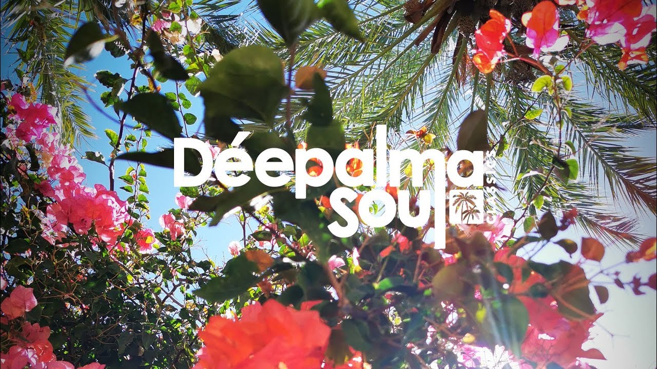 Loui & Scibi feat. Nathalia - Giving You the Light (Shane D. Remix) [Déepalma Soul Classics]
