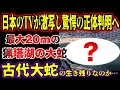 【ゆっくり解説】日本のTVが激写し驚愕の正体判明へ！最大20mの猟塔湖の大蛇の怪物は古代生物の生き残りなのか…【古代生物生存】