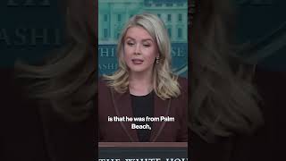 Leavitt says Epstein emails prove Trump 'did nothing wrong' #shorts