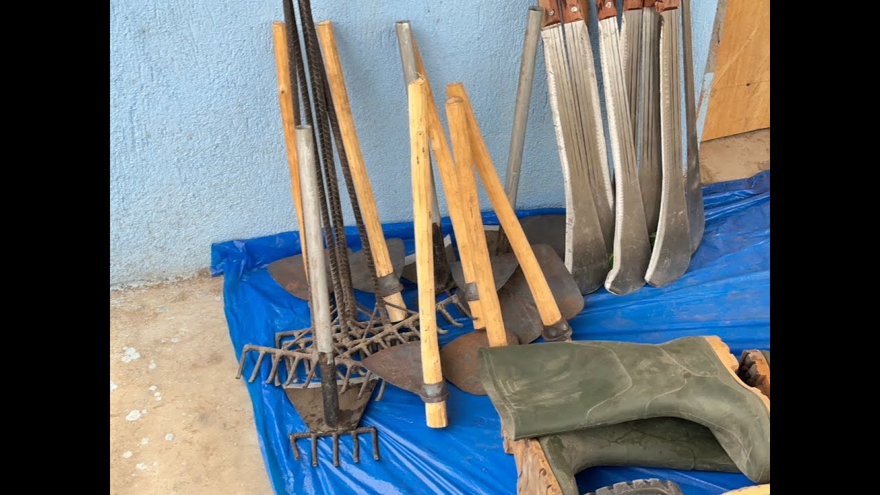 All You Need To Know About Farm To Feed 2025