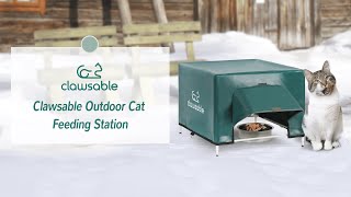 [NEW ARRIVAL] Clawsable Outdoor Cat Feeding Station
