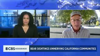 Understanding the Increase in Bear Sightings in California !