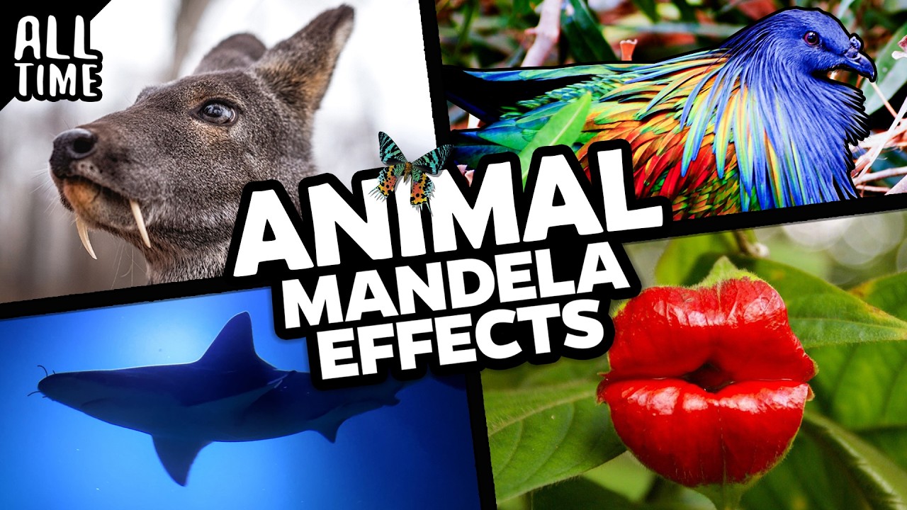 Эффекты Манделы для животных!