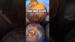 Download Lagu Buah yang mirip kelapa #kelapa MP3
