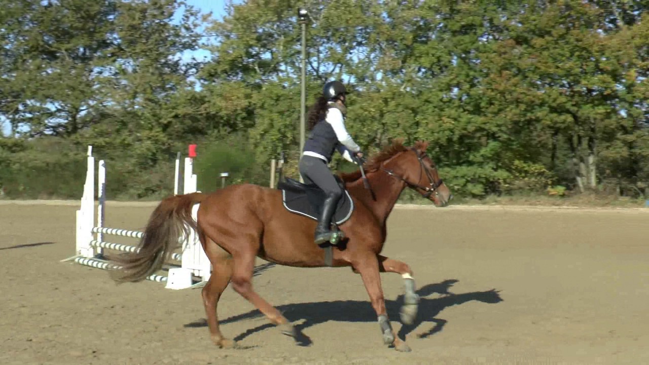Eloïse B au CSO de Beauséjour (Vertou) le 6/11/2016 YouTube