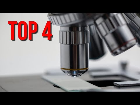Video: Quale Microscopio USB è Migliore