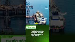 Thế giới mất 10 triệu thùng dầu mỗi ngày, Mỹ với Trung Quốc bỗng nhiên từ đối thủ thành… đồng đội #V