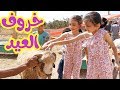 خروف العيد الكيوت CUTE SHEEP