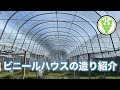 ビニールハウスの紹介 林ぶどう園 2021-3-20