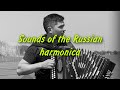 Russian guy superbly performs a military song  Heart stops - Sounds of the Russian harmonica